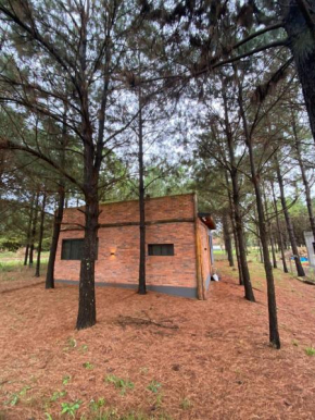 Cabin los Pinos
